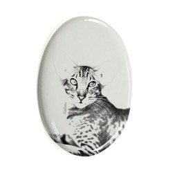 Kot orientalny- płytka ceramiczna, nagrobkowa z wizerunkiem kota