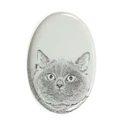 Kot brytyjski krótkowłosy- płytka ceramiczna, nagrobkowa z wizerunkiem kota