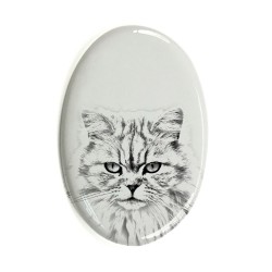 Kot brytyjski długowłosy- płytka ceramiczna, nagrobkowa z wizerunkiem kota