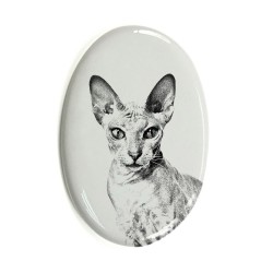 Peterbald gatto- Lastra di ceramica ovale tombale con immagine del gatto.