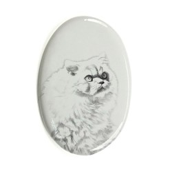 Gato himalayan- Lastra di ceramica ovale tombale con immagine del gatto.