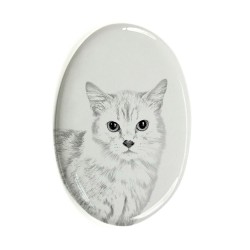 Munchkin- Plaque céramique tumulaire, ovale, image du chat.