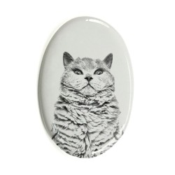 Selkirk rex shorthaired- Gravestone oval ceramic tile with an image of a cat.
