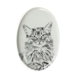 Somali cat- Gravestone oval ceramic tile with an image of a cat.
