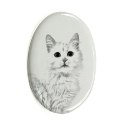 Turco Van- Lastra di ceramica ovale tombale con immagine del gatto.