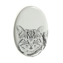 Manx- Lastra di ceramica ovale tombale con immagine del gatto.