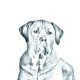 Akita Inu - kieszonkowe lusterko z wizerunkiem psa.
