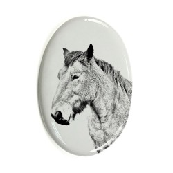 Australian Stock Horse- Lastra di ceramica ovale tombale con immagine del cavallo.