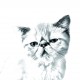 Gato persa, recipiente para velas/bolígrafos con una imagen de gato
