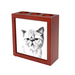 Exotic shorthair, portacandele/portapenne di legno con l’immagine di un gatto