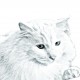 Persiano, portacandele/portapenne di legno con l’immagine di un gatto