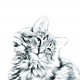 Perserkatze, holzständer für Kerzen/ Kugelschreiber mit dem Bild des Katzen