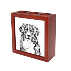 Berner Sennenhund, holzständer für Kerzen/ Kugelschreiber mit dem Bild des Hundes.