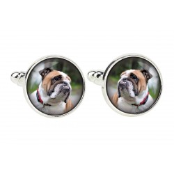 English Bulldog. Cufflinks for dog lovers. Photo jewellery. Men's jewellery. Handmade