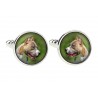 American Pit Bull Terrier. Cufflinks for dog lovers. Photo jewellery. Men's jewellery. Handmade