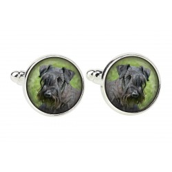 Cesky Terrier. Cufflinks for dog lovers. Photo jewellery. Men's jewellery. Handmade