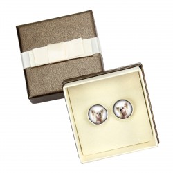 Chinese Crested Dog. Cufflinks with box for dog lovers. Photo jewellery. Men's jewellery. Handmade