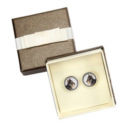 Schnauzer cropped. Cufflinks with box for dog lovers. Photo jewellery. Men's jewellery. Handmade