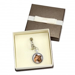 Collie. Keyring, keychain with box for dog lovers. Photo jewellery. Men's jewellery. Handmade.