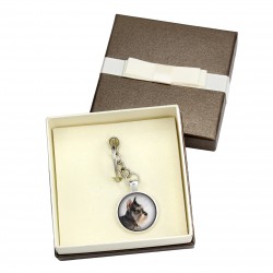 Schnauzer cropped. Keyring, keychain with box for dog lovers. Photo jewellery. Men's jewellery. Handmade.