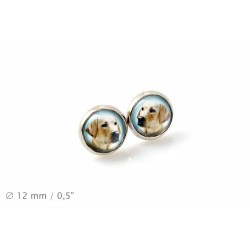 Labrador Retriever. Pet in your ear. Earrings. Photojewelry. Handmade.