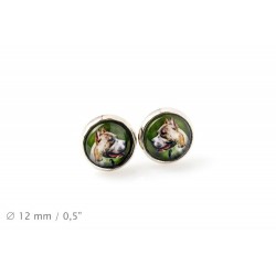 American Pit Bull Terrier. Pet in your ear. Earrings. Photojewelry. Handmade.