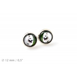 Samoyed. Pet in your ear. Earrings. Photojewelry. Handmade.