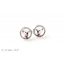 Chinese Crested Dog. Pet in your ear. Earrings. Photojewelry. Handmade.