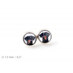 Dobermann uncropped. Pet in your ear. Earrings. Photojewelry. Handmade.