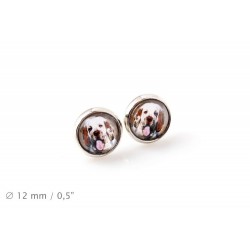 Clumber Spaniel. Pet in your ear. Earrings. Photojewelry. Handmade.