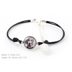 Weimaraner. Bracelet for people who love dogs. Photojewelry. Handmade.