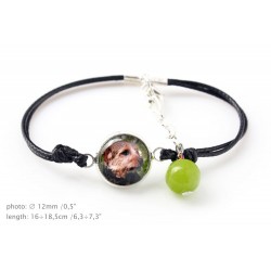 Norfolk Terrier. Bracelet for people who love dogs. Photojewelry. Handmade.