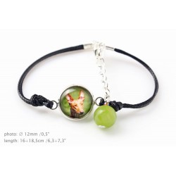 Pharaoh Hound. Bracelet for people who love dogs. Photojewelry. Handmade.