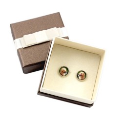 Golden Retriever. Pet in your ear. Earrings with box. Photojewelry. Handmade