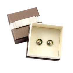Earrings with exclusive box.