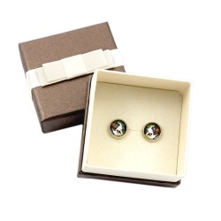Saint Bernard. Pet in your ear. Earrings with box. Photojewelry. Handmade