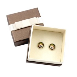 Shiba Inu. Pet in your ear. Earrings with box. Photojewelry. Handmade