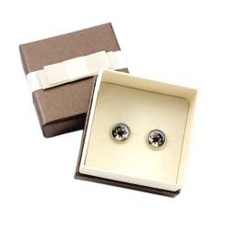 Pointer. Pet in your ear. Earrings with box. Photojewelry. Handmade