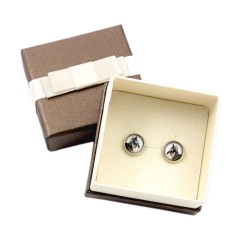 Schnauzer cropped. Pet in your ear. Earrings with box. Photojewelry. Handmade