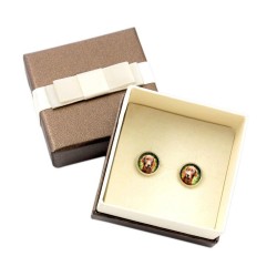 Setter. Pet in your ear. Earrings with box. Photojewelry. Handmade