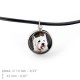 Jewelry with box for people who love dogs. Earrings and necklace. Photojewelry. Handmade.