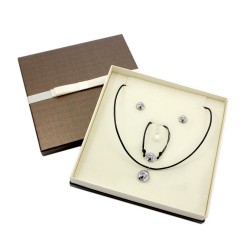 Weimaraner. Jewelry with box for people who love dogs. Earrings, a bracelet and necklace. Photojewelry.