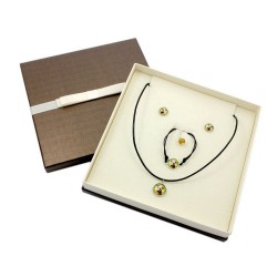Azawakh. Jewelry with box for people who love dogs. Earrings, a bracelet and necklace. Photojewelry.