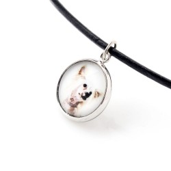 Chinese Crested Dog. Necklace, pendant for people who love dogs. Photojewelry. Handmade.