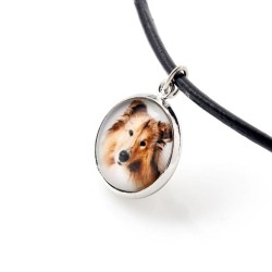 Collie. Necklace, pendant for people who love dogs. Photojewelry. Handmade.