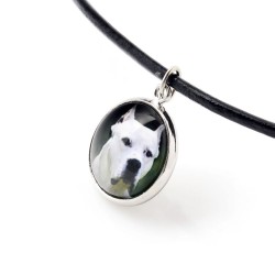 Argentine Dogo. Necklace, pendant for people who love dogs. Photojewelry. Handmade.