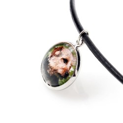 Norfolk Terrier. Necklace, pendant for people who love dogs. Photojewelry. Handmade.