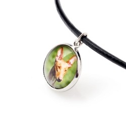 Pharaoh Hound. Necklace, pendant for people who love dogs. Photojewelry. Handmade.