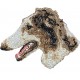 Borzoi - Embroidery, patch with the image of a purebred dog.
