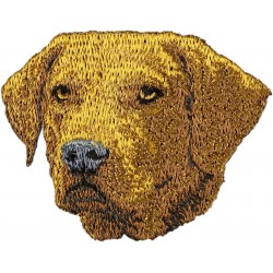 Chesapeake Bay retriever - Embroidery, patch with the image of a purebred dog.